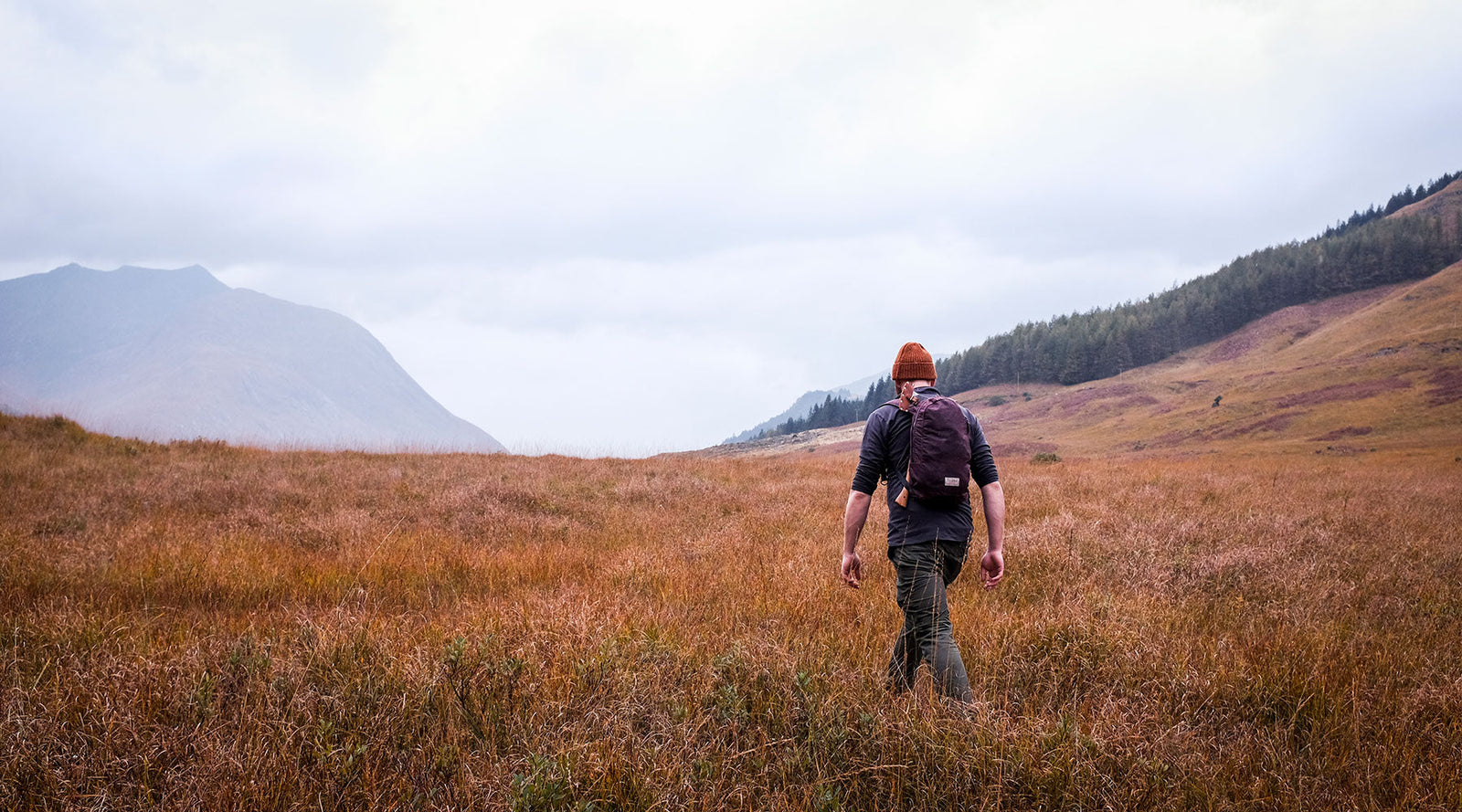 Glen Etive: The Purple Valley