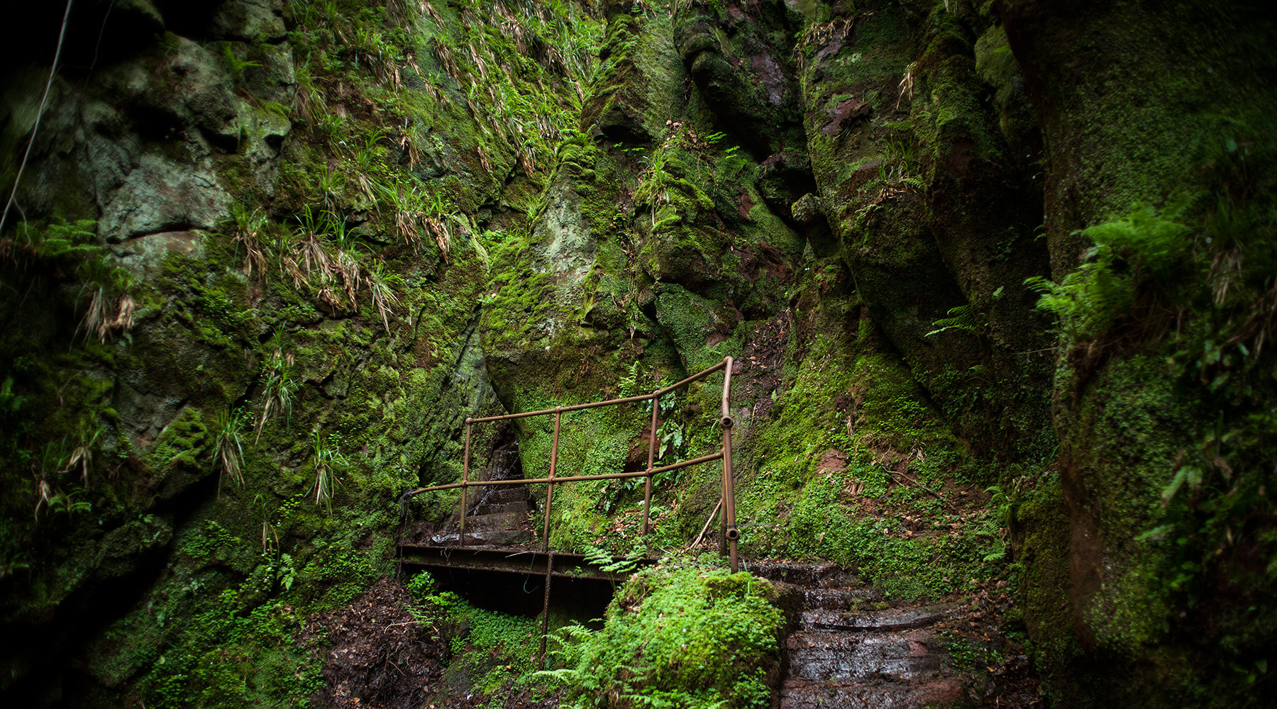 The Devils Pulpit: The Hidden Glen